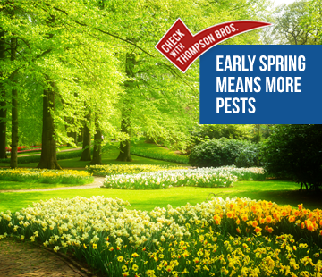 What Does Early Spring Mean for Bugs? | Thompson Bros Exterminating